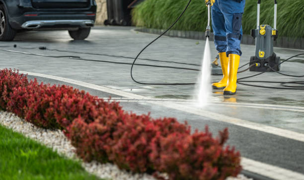 Best Vinyl Siding Pressure Washing in Wardsville, MO